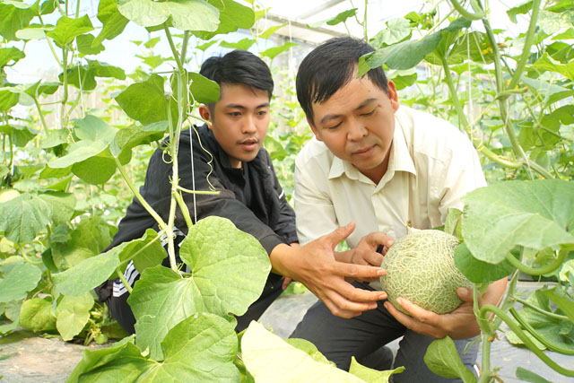 Vốn vay Quỹ Hỗ trợ nông dân giúp 2.000 hộ nông dân ở Đồng Tháp mở rộng quy mô sản xuất- Ảnh 1.