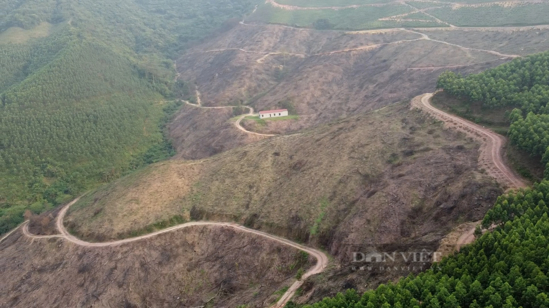 Khởi tố vụ án huỷ hoại 10ha rừng tự nhiên tại huyện Lục Nam, Bắc Giang- Ảnh 1.