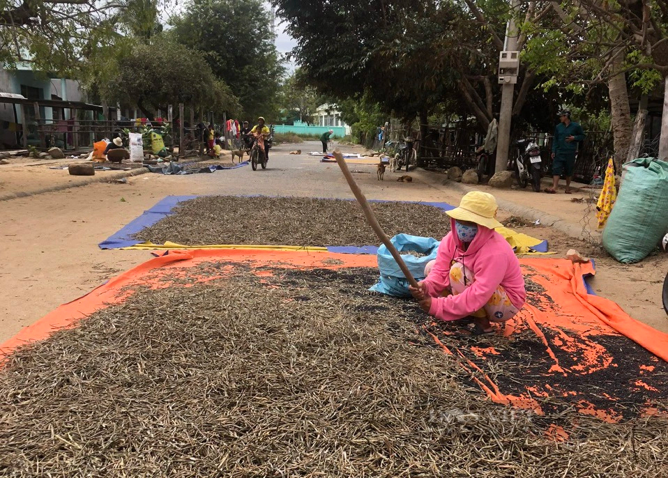 100% xã đồng bào dân tộc thiểu số ở Bình Thuận có đường ô tô, bê tông nhựa hóa đến trung tâm xã- Ảnh 3.