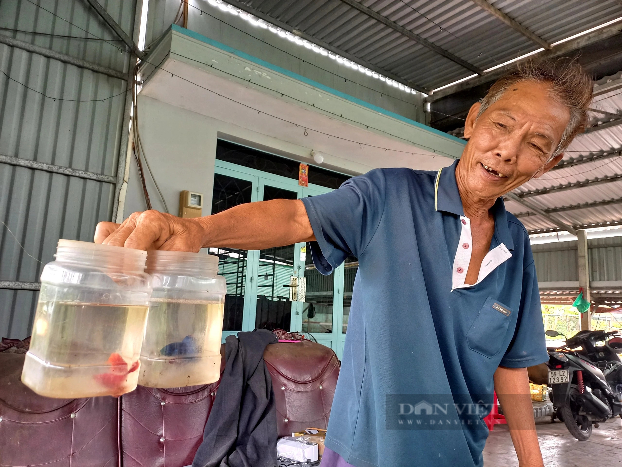 Từng hốt vàng nhờ nuôi cá kiểng sinh sản, giờ ông nông dân TP HCM tính “treo ao”, chả muốn cho con bám nghề- Ảnh 1.