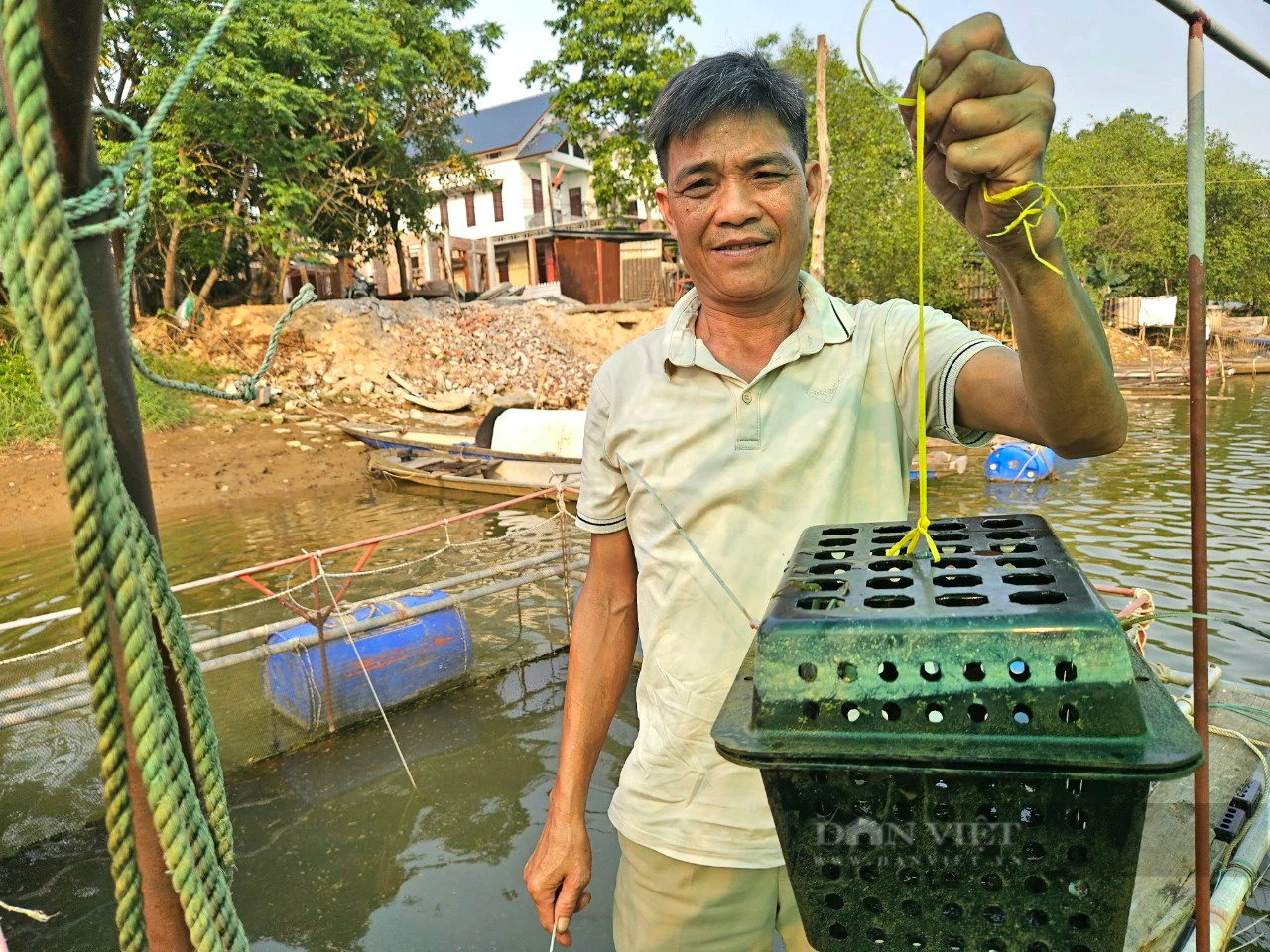 Nuôi cá chẽm, cá dìa, cua ngon ở một ngã 3 sông nổi tiếng ở Quảng Bình, tưởng liều mà hóa hay- Ảnh 2.