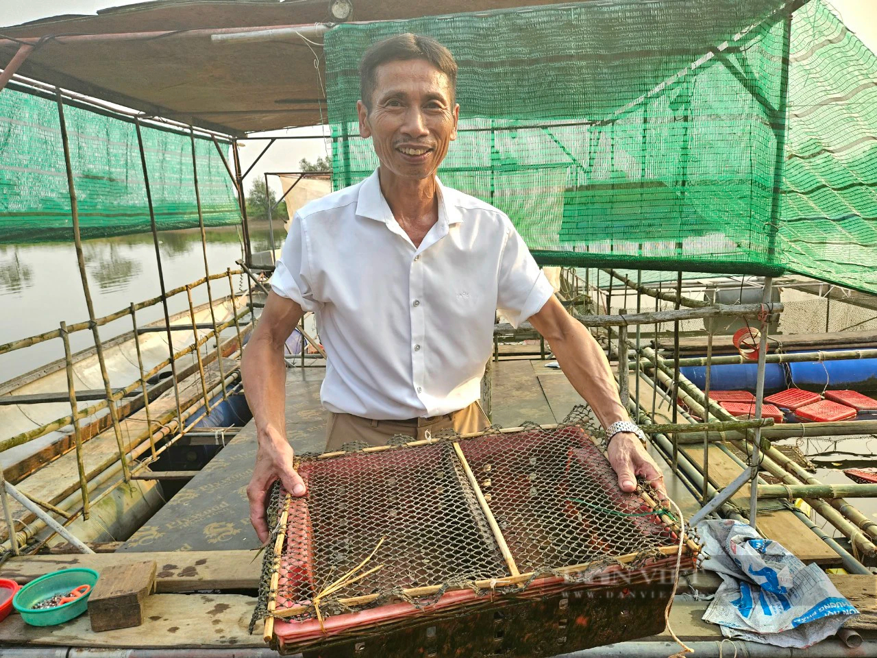 Nuôi cá chẽm, cá dìa, cua ngon ở một ngã 3 sông nổi tiếng ở Quảng Bình, tưởng liều mà hóa hay- Ảnh 3.