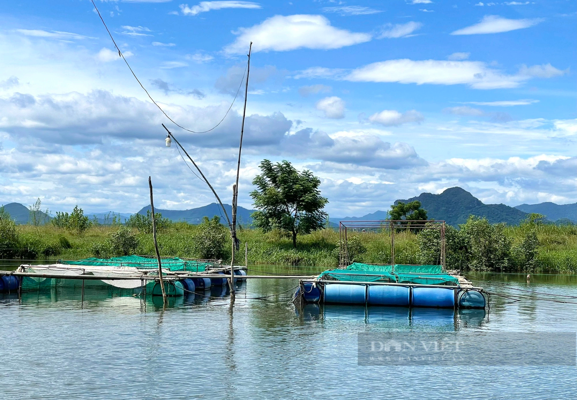 Nuôi cá chẽm, cá dìa, cua ngon ở một ngã 3 sông nổi tiếng ở Quảng Bình, tưởng liều mà hóa hay- Ảnh 6.