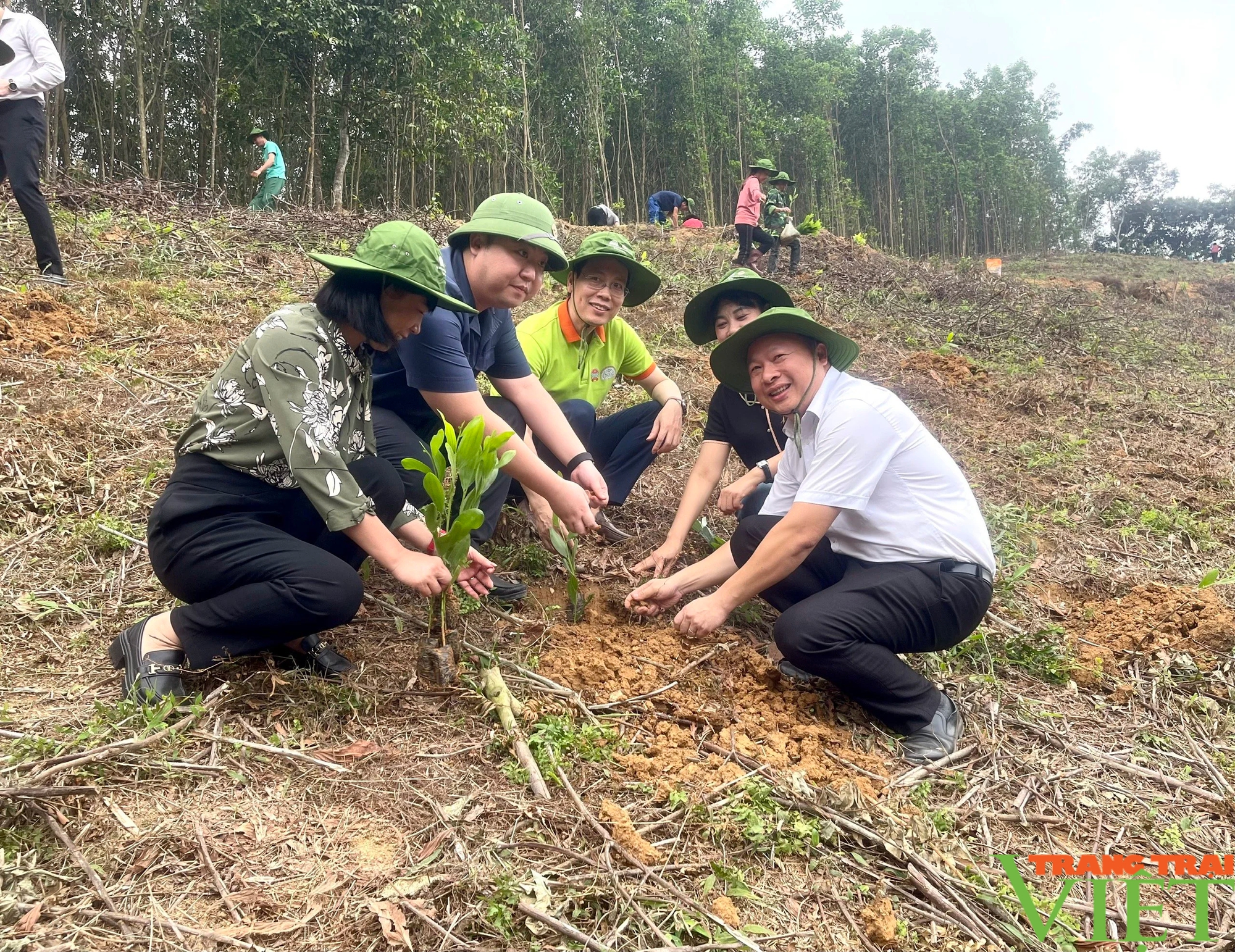 Hội Nông dân tỉnh Hòa Bình hưởng ứng chiến dịch truyền thông về rừng và phục hồi rừng giảm nhẹ khí nhà kính- Ảnh 2.