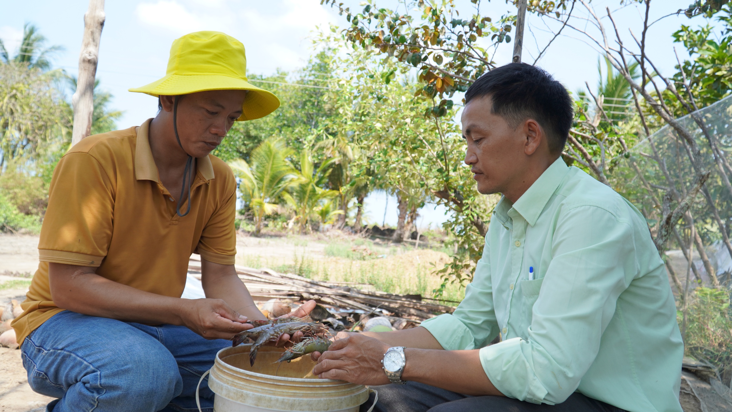 Con tôm, con cua lăn ra chết hàng loạt do hạn mặn, nông dân Kiên Giang rơi mất tiền tỷ- Ảnh 2.