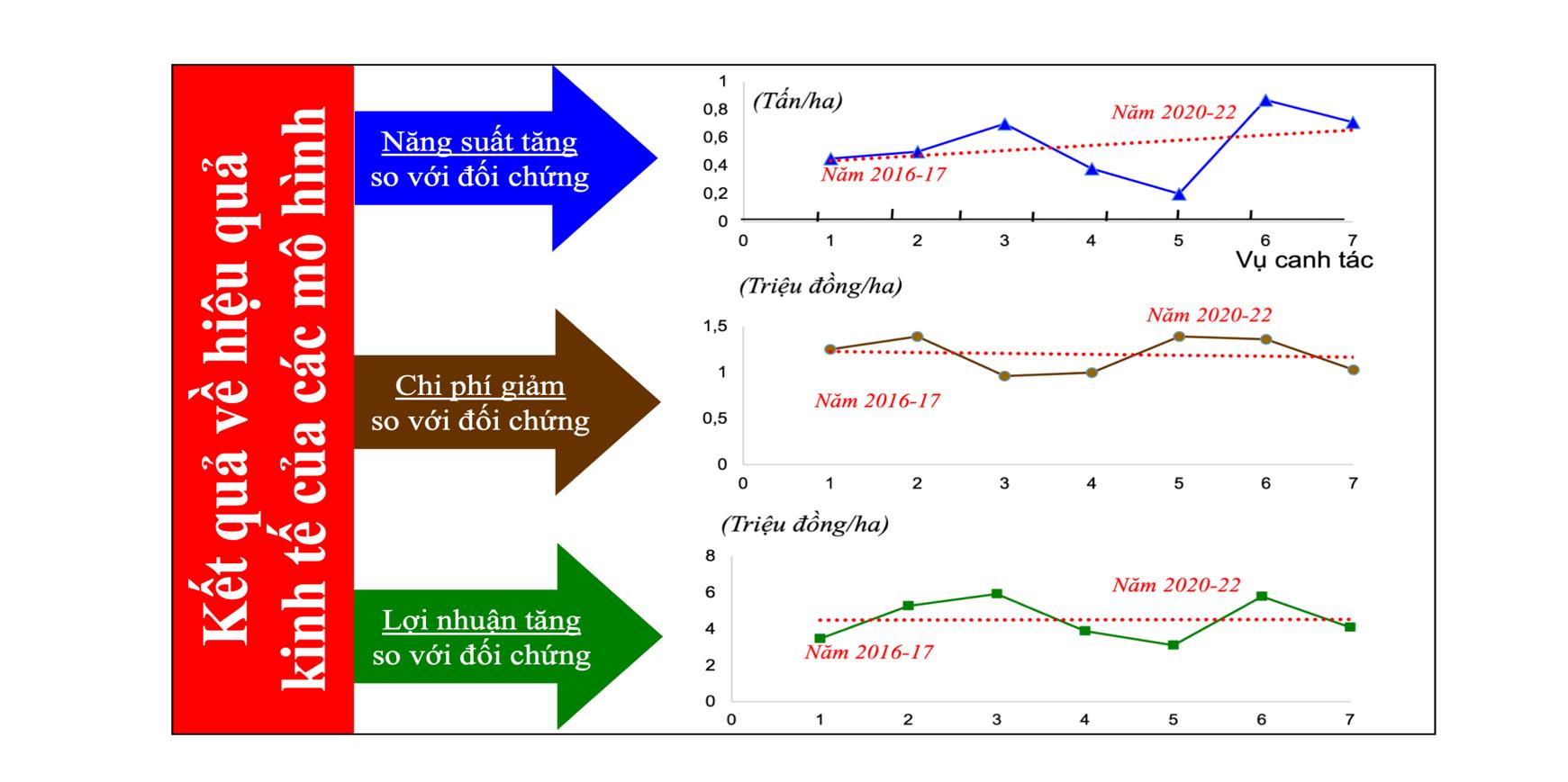 Lan toả các "siêu mô hình" trồng lúa thông minh ở ĐBSCL- Ảnh 1.