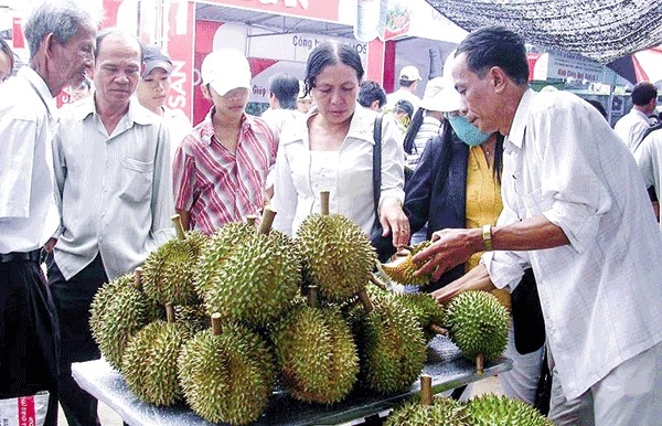 Đây là cây ăn trái đang hot ở Việt Nam, nông dân, doanh nghiệp trúng đậm, sự thật có dễ "hốt bạc"?- Ảnh 1.