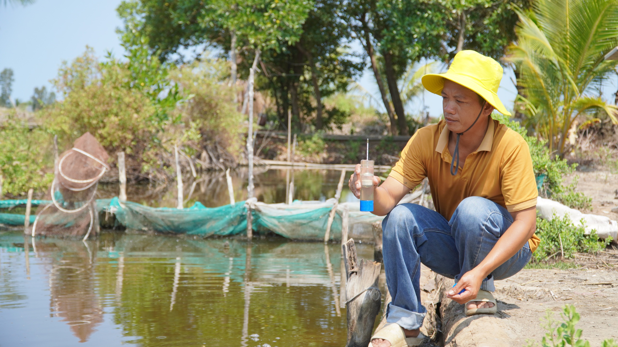 Con tôm, con cua lăn ra chết hàng loạt do hạn mặn, nông dân Kiên Giang rơi mất tiền tỷ- Ảnh 1.