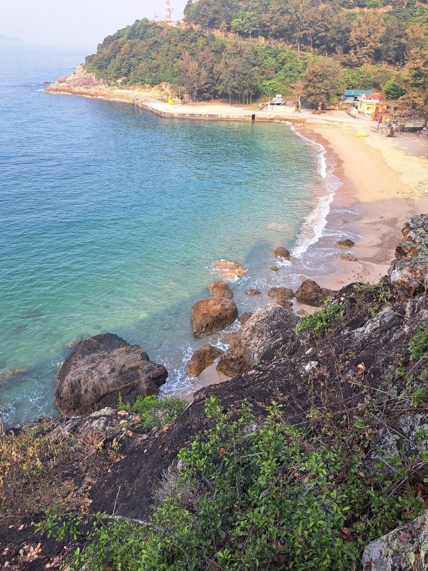 Một hòn đảo đẹp như phim rộng 420ha ở biển Thanh Hóa, có rừng nguyên sinh, vô số động vật hoang dã- Ảnh 3.