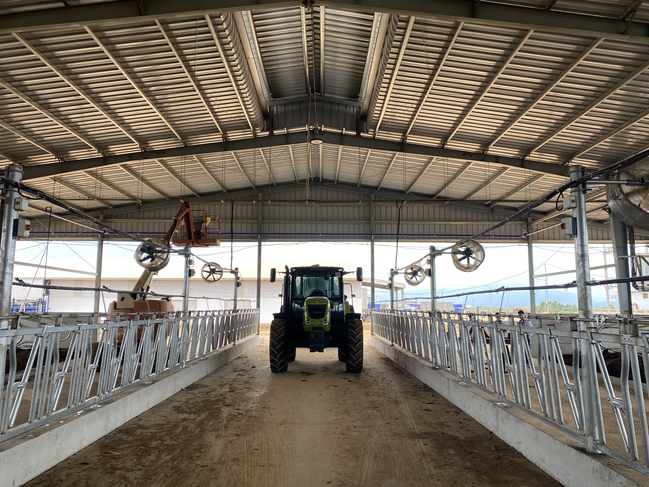 Tập đoàn TH nhập khẩu 2.009 bò sữa cao sản thuần chủng từ Mỹ về trang trại Thanh Hóa- Ảnh 5.