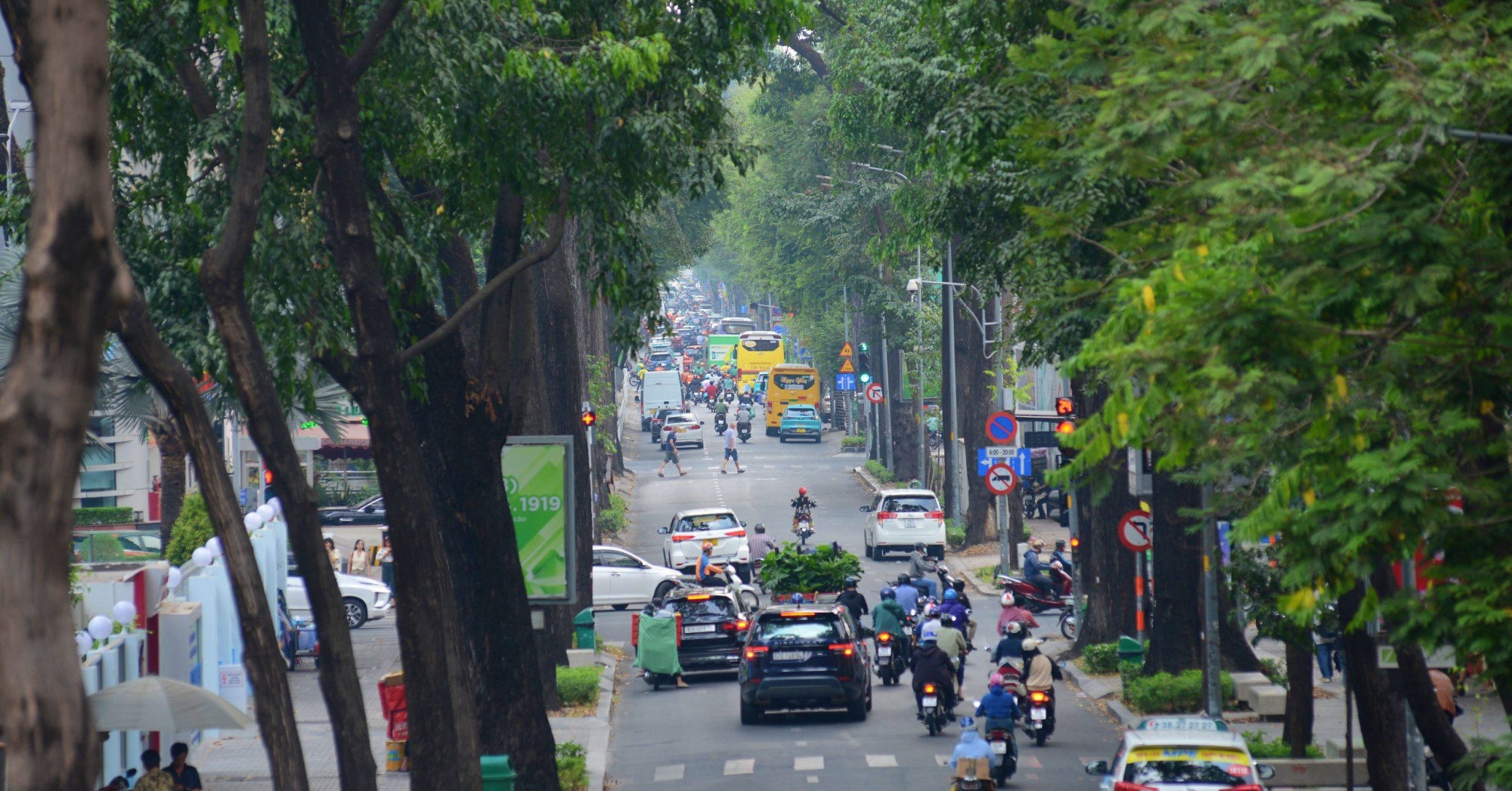 Những con đường rợp cây xanh, xua nắng nóng ở Sài Gòn            