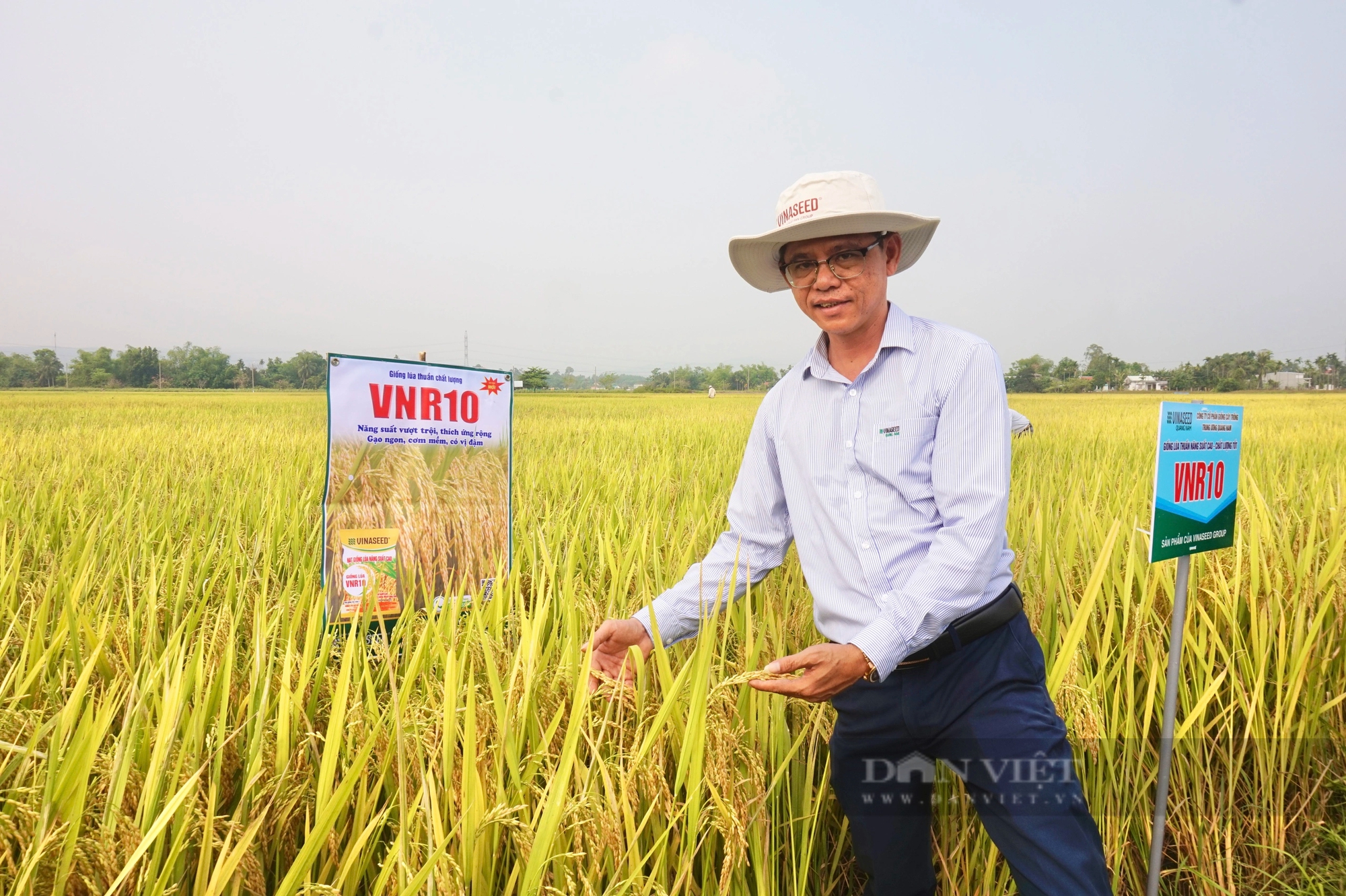 4 giống lúa của Vinaseed “lấy lòng” nông dân Đà Nẵng nhờ những đặc tính này- Ảnh 4.