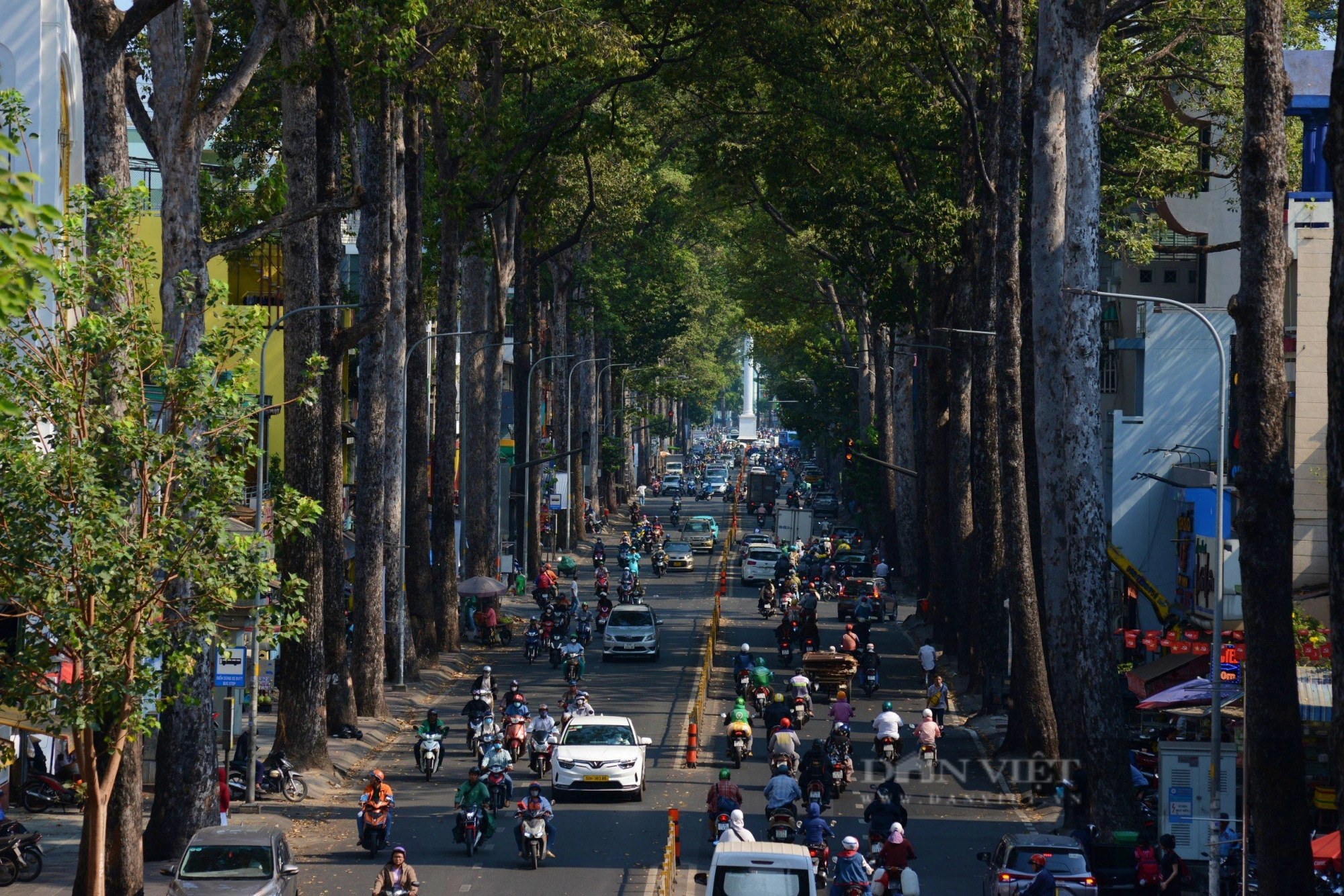 Những con đường rợp cây xanh, xua nắng nóng ở Sài Gòn            - Ảnh 4.