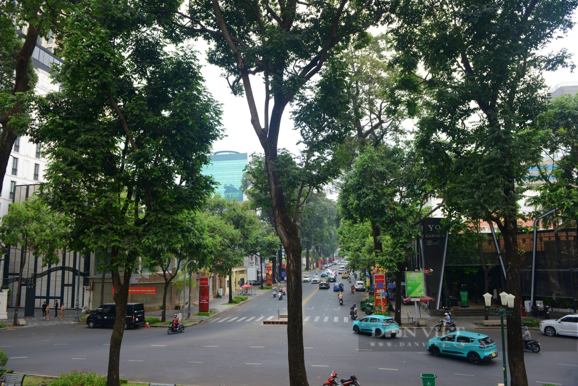 Những con đường rợp cây xanh, xua nắng nóng ở Sài Gòn            - Ảnh 10.