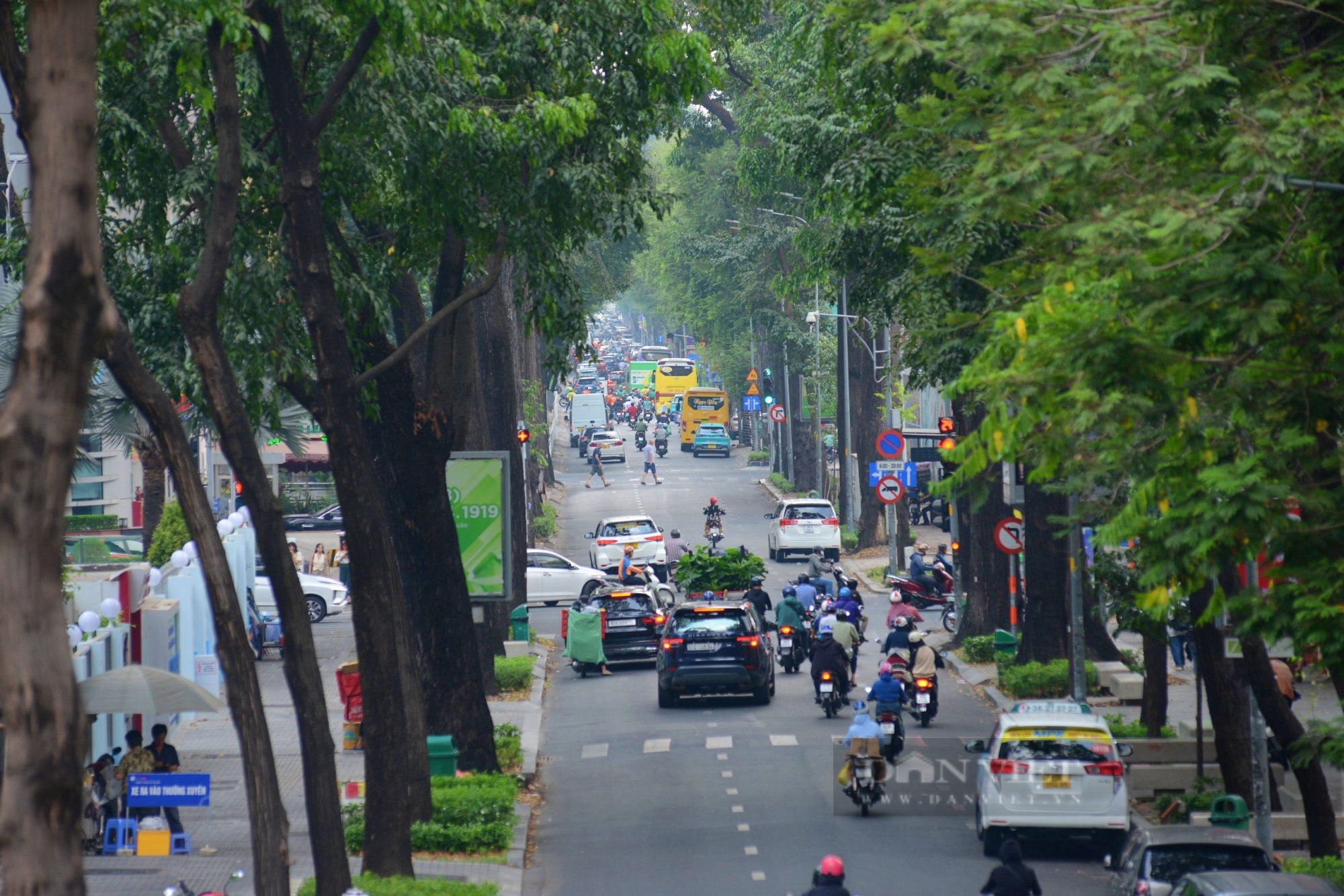 Những con đường rợp cây xanh, xua nắng nóng ở Sài Gòn            - Ảnh 11.