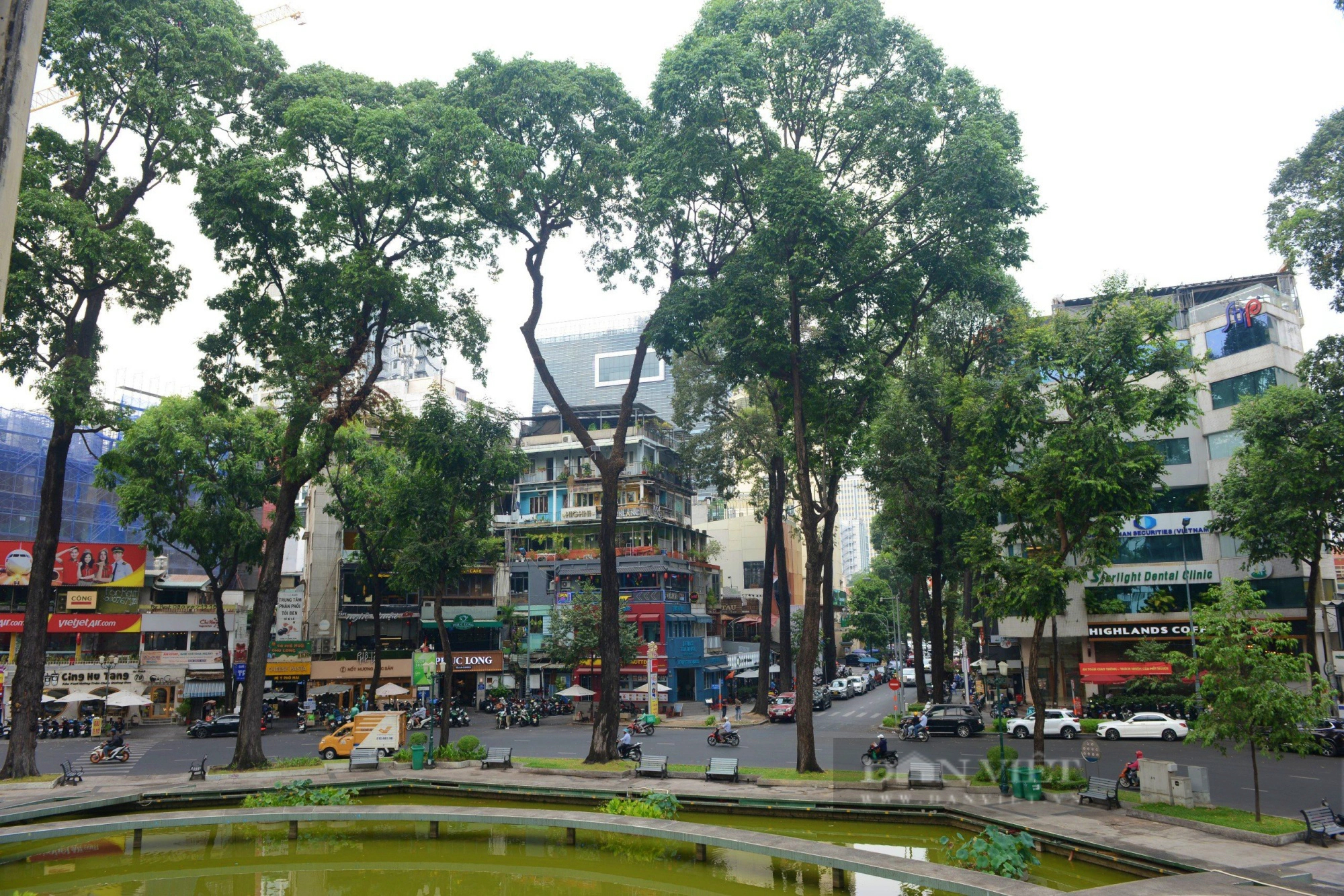 Những con đường rợp cây xanh, xua nắng nóng ở Sài Gòn            - Ảnh 12.