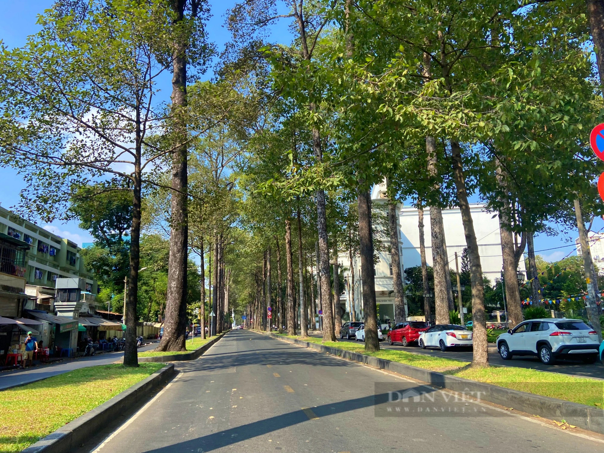 Những con đường rợp cây xanh, xua nắng nóng ở Sài Gòn            - Ảnh 13.