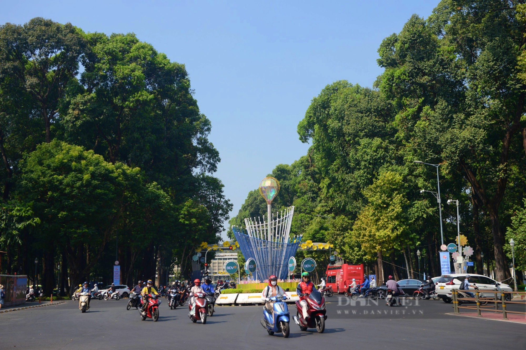 Những con đường rợp cây xanh, xua nắng nóng ở Sài Gòn            - Ảnh 16.