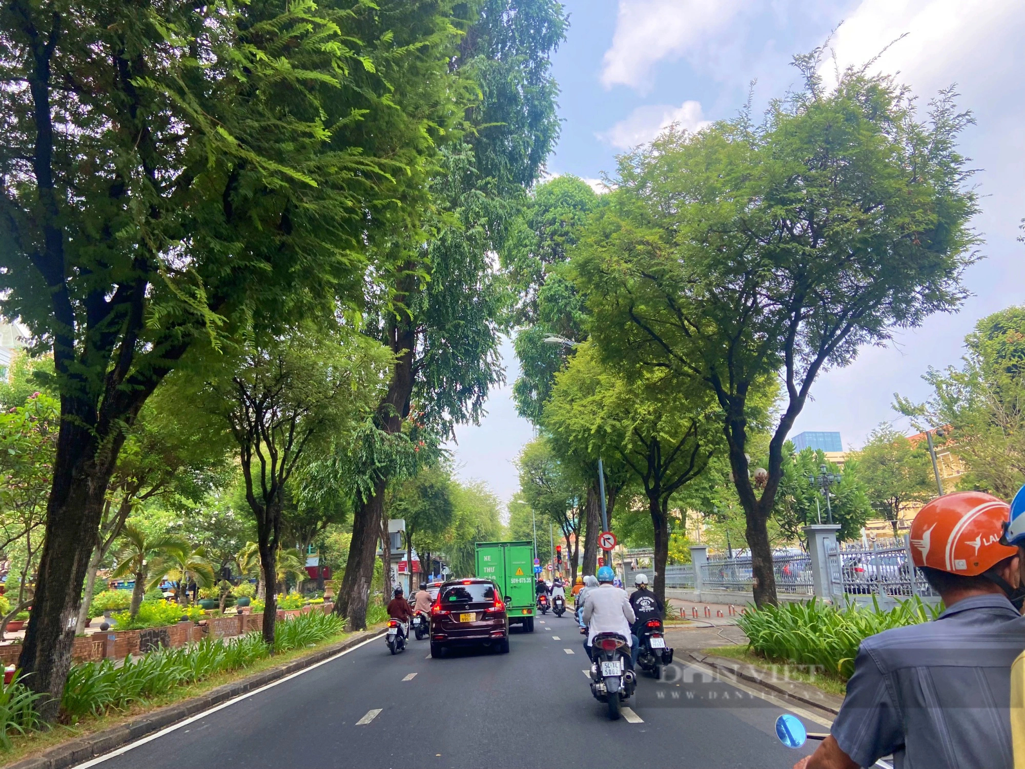 Những con đường rợp cây xanh, xua nắng nóng ở Sài Gòn            - Ảnh 17.