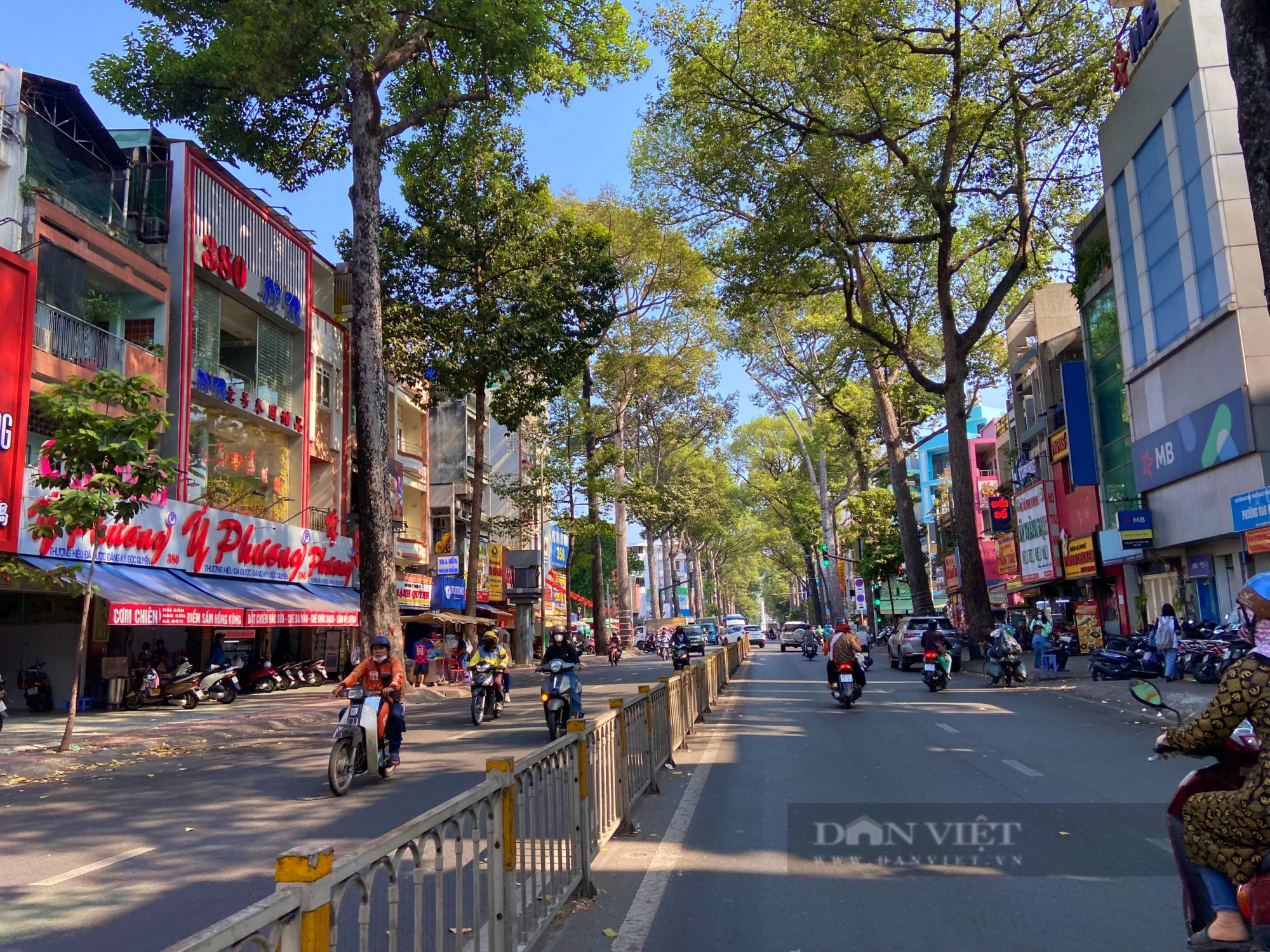Những con đường rợp cây xanh, xua nắng nóng ở Sài Gòn            - Ảnh 18.