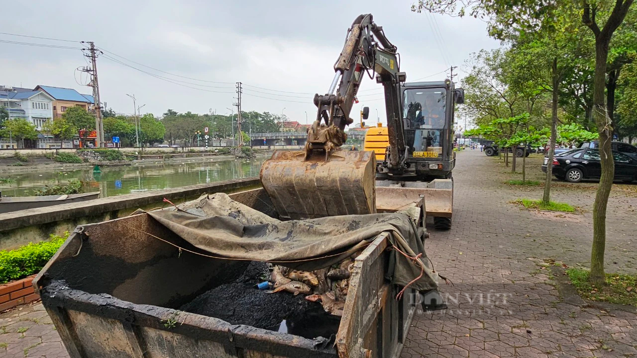 Cá chết trắng lồng, trôi đầy trên sông Sặt, ngành chức năng Hải Dương điều máy xúc trục vớt, xử lý- Ảnh 12.