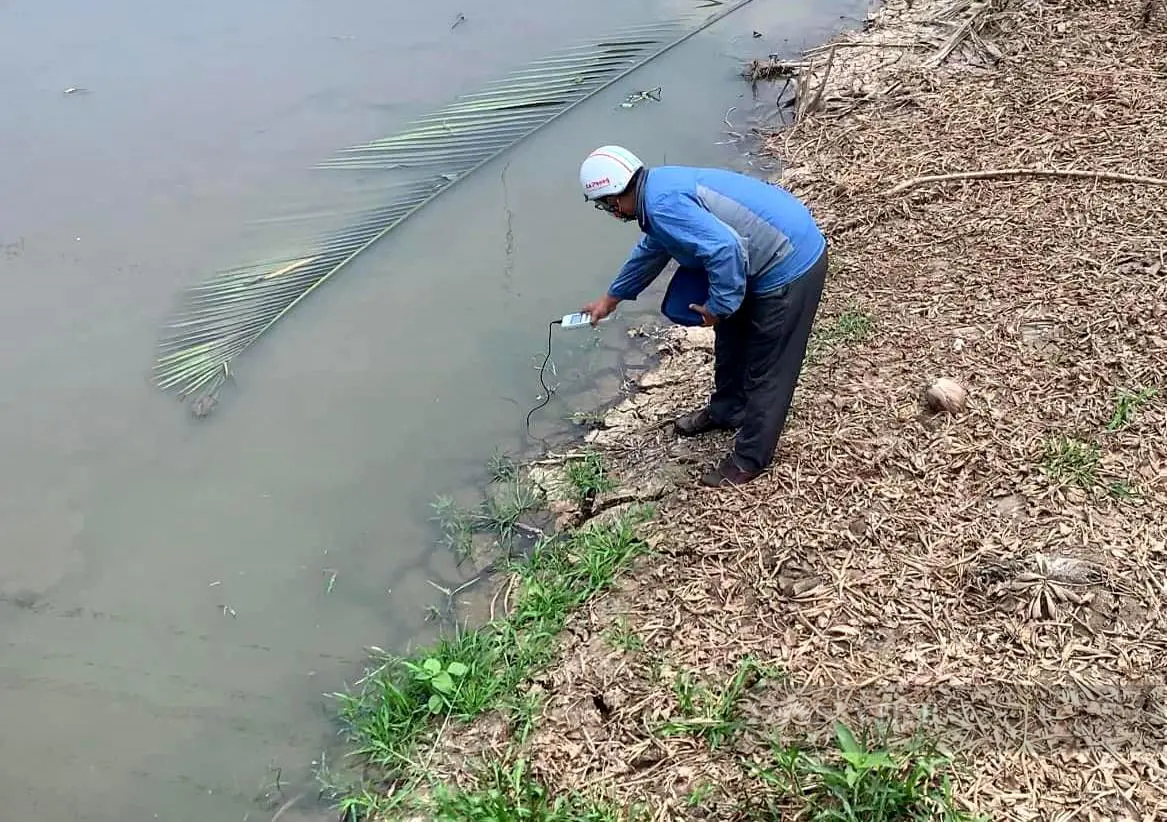 Khốc liệt hạn mặn, vì sao ở Tiền Giang đang chống hạn mặn bằng nước mặn?- Ảnh 3.