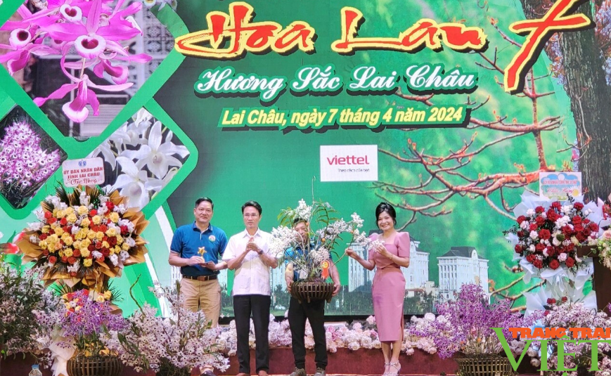 Phong phú các loài hoa lan bản địa, khoe sắc tại triển lãm và thi hoa lan với chủ đề "Hương sắc Lai Châu"- Ảnh 4.