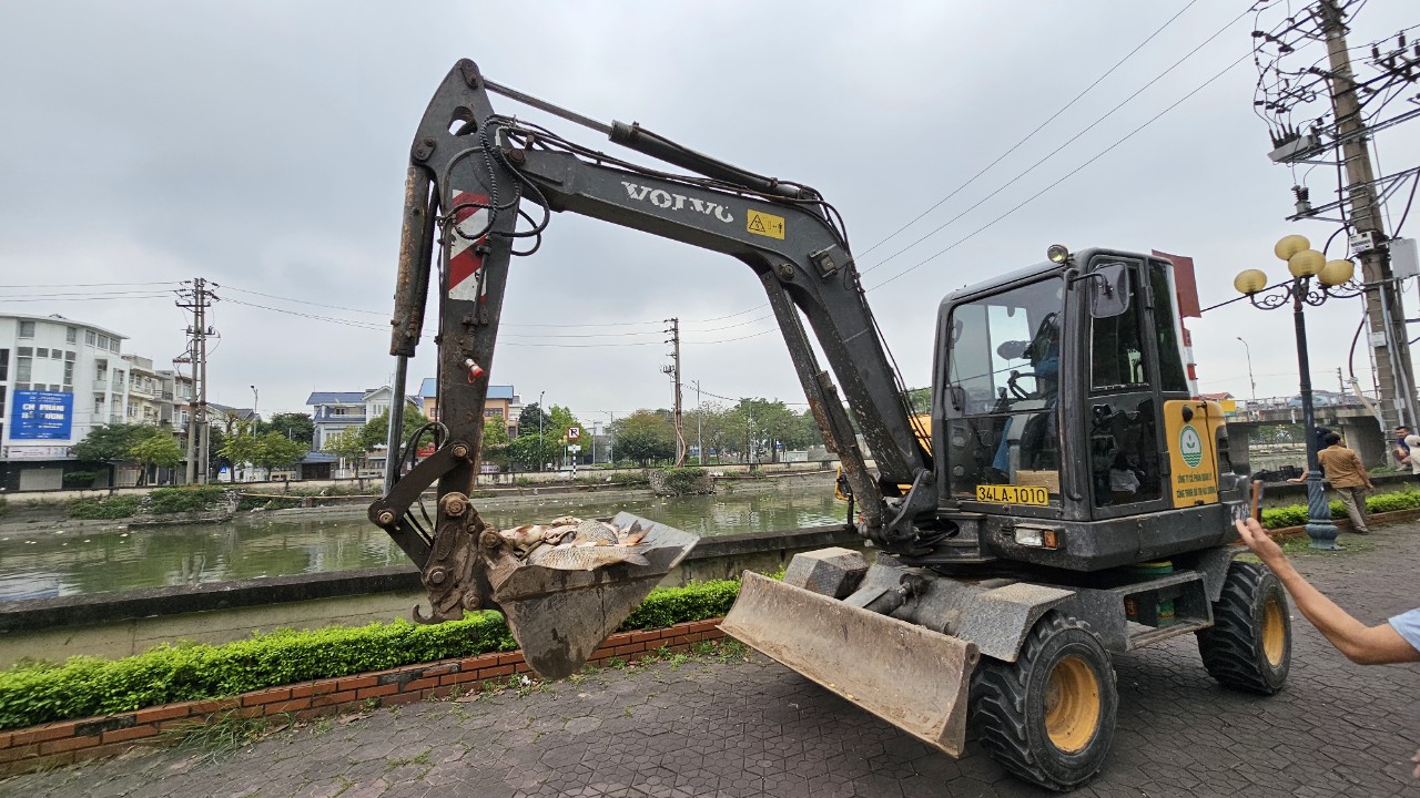 Cá chết trắng lồng, trôi đầy trên sông Sặt, ngành chức năng Hải Dương điều máy xúc trục vớt, xử lý- Ảnh 1.