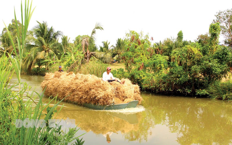 Sống cảnh “trên cơm dưới cá” nhưng bao giờ nông dân miền Tây cũng trữ, giữ trong nhà hai thứ gì?