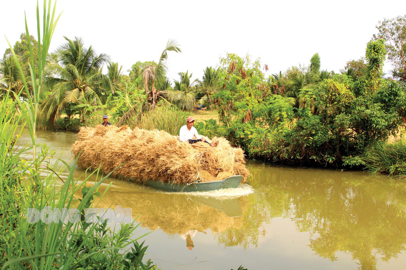 Sống cảnh “trên cơm dưới cá” nhưng bao giờ nông dân miền Tây cũng trữ, giữ trong nhà hai thứ gì?- Ảnh 1.