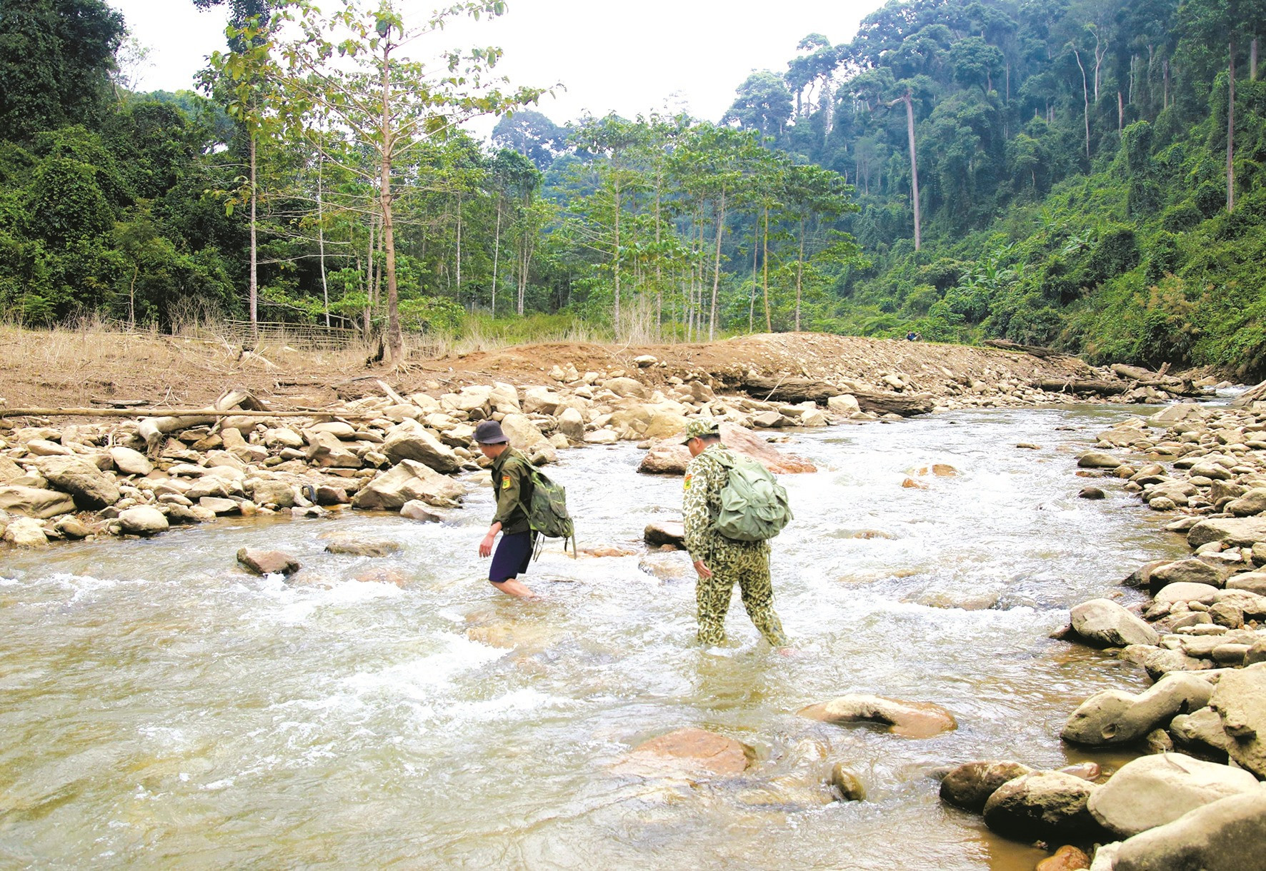 Một nơi có tên Sông Thanh ví như "đảo hoang" ở rừng Quảng Nam, có 53 loài thú hoang dã, 49 loài cây quý hiếm- Ảnh 2.