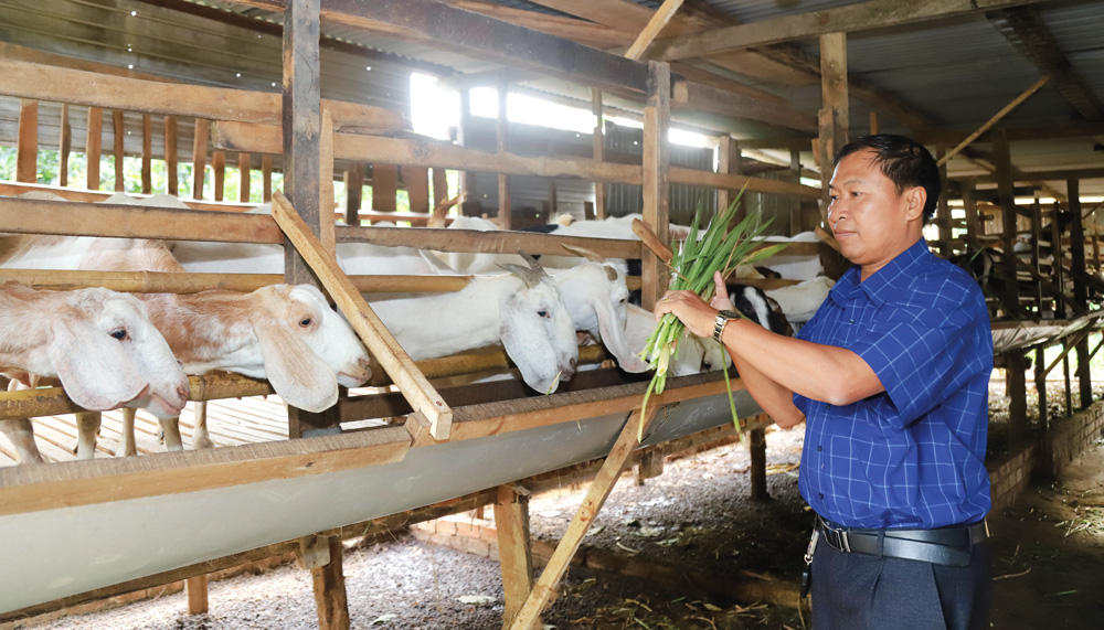 Đây là những vật nuôi mới đang mang lại thu nhập tốt hơn cho nông dân một huyện của Lâm Đồng- Ảnh 1.