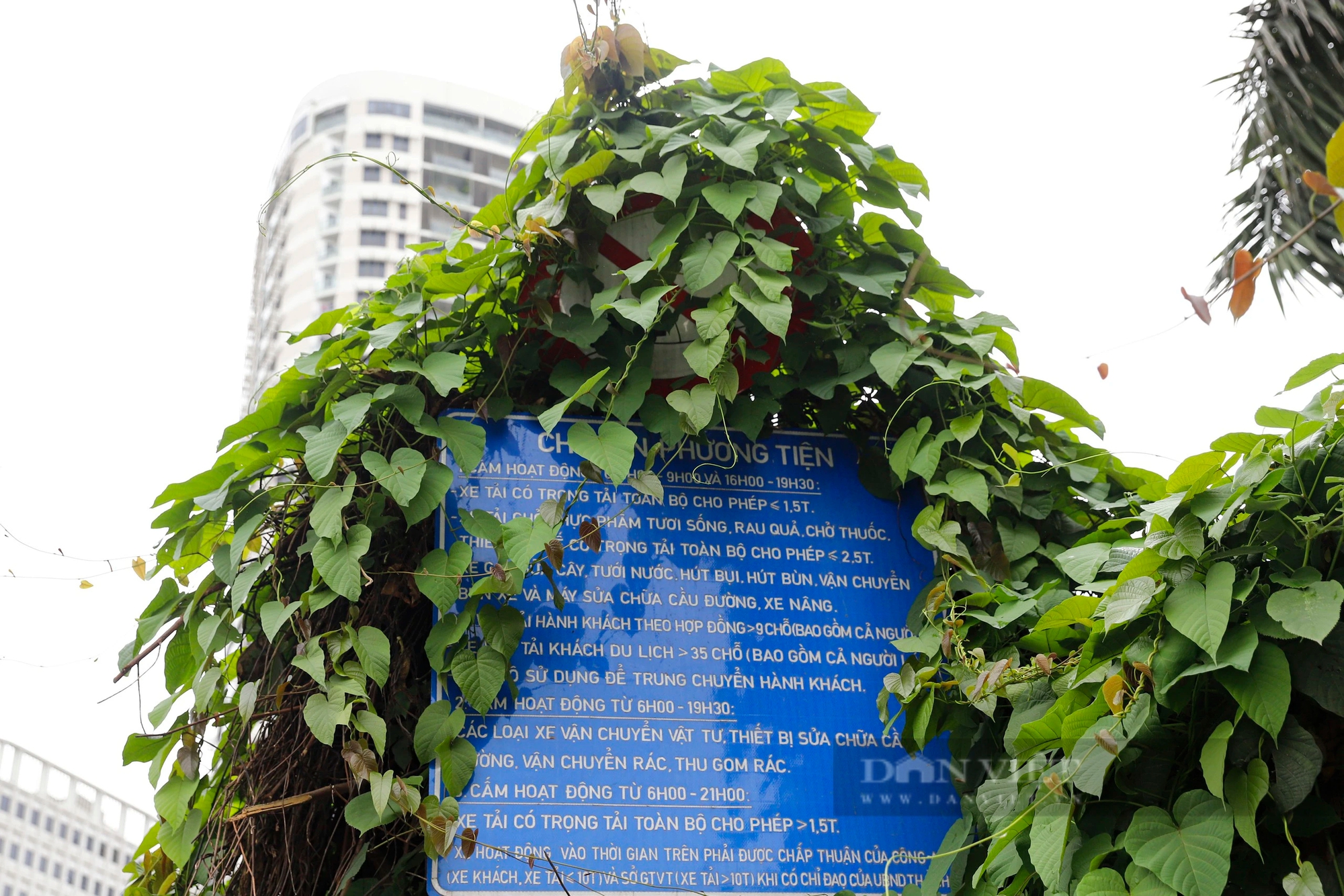 Dự án chung cư cao cấp 45 tầng vị trí đắc địa ở Hà Nội sau hàng thập kỷ vẫn quây tôn bỏ hoang- Ảnh 11.