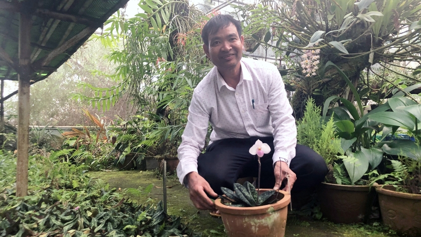 Ở một nơi của Lâm Đồng đang trồng la liệt hoa lan rừng, có loài lan rừng mang tên Hài hồng đẹp tinh khôi- Ảnh 2.