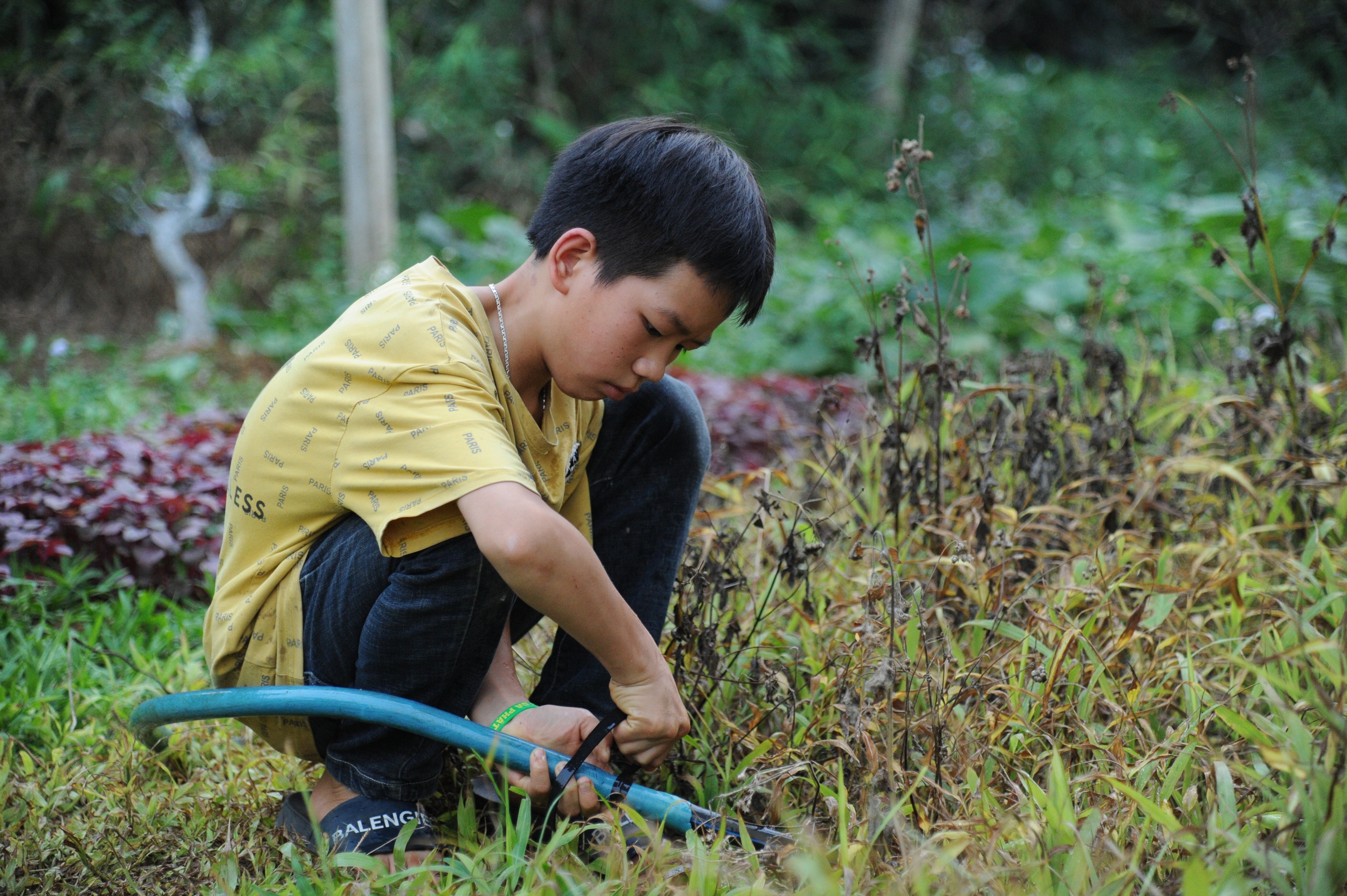 Nỗi đau xé lòng của 3 đứa trẻ, bố mất vì tai nạn, mẹ bỏ đi biệt tích- Ảnh 6.