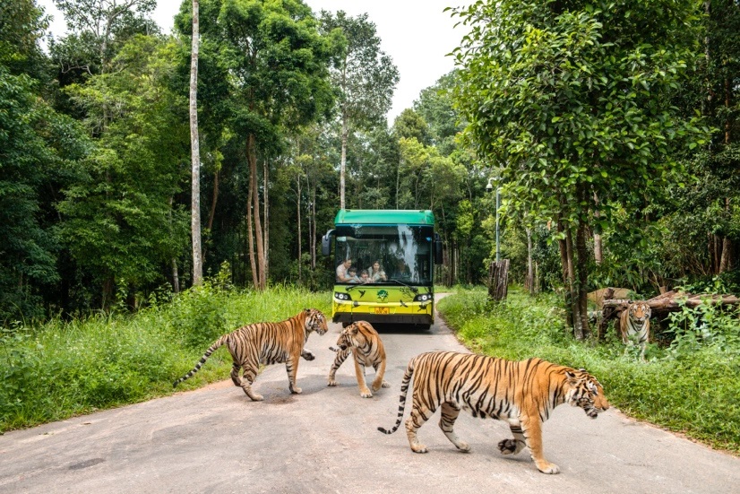 Siêu hot trải nghiệm “nhập vai bảo mẫu nhí” cực hút khách tại Vinpearl Safari- Ảnh 8.