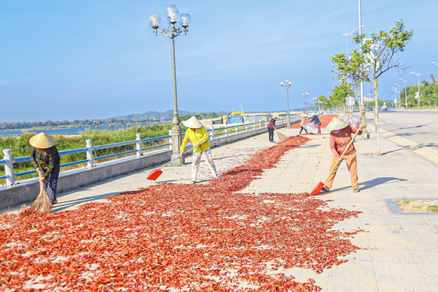 Đường ngàn tỷ đẹp nhất, nhì tỉnh Quảng Ngãi đỏ “lừ” vì ớt - Ảnh 3.