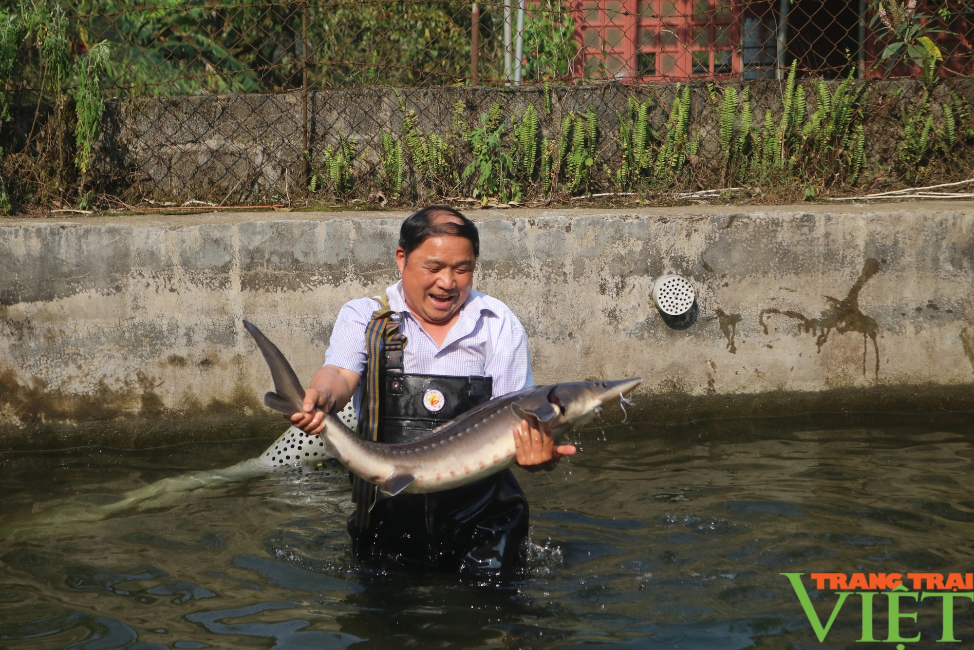 Tỷ phú người dân tộc Dao nuôi cá nước lạnh ở Sa Pa- Ảnh 2.