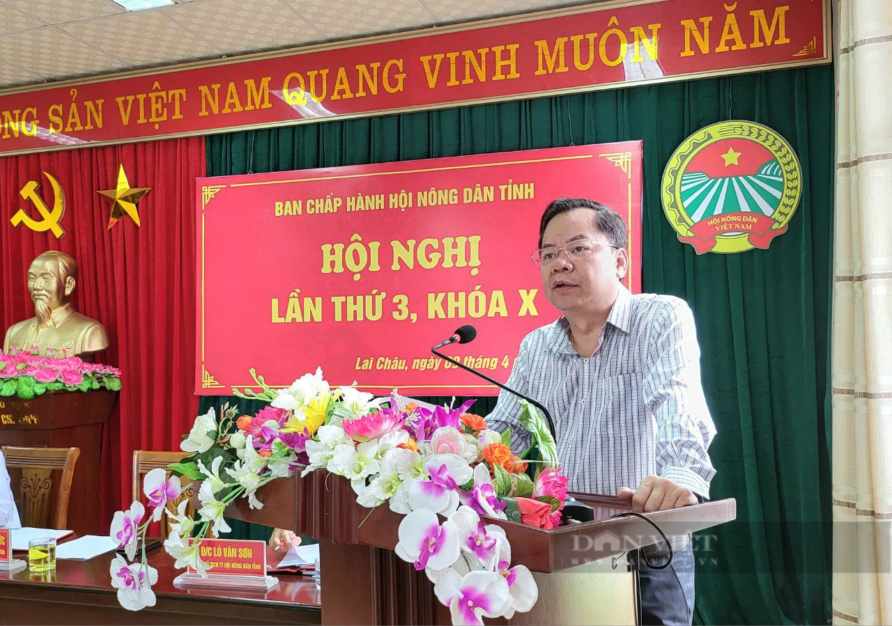 Hội Nông dân tỉnh Lai Châu tổ chức hội nghị Ban Chấp hành lần thứ 3 khóa X- Ảnh 1.