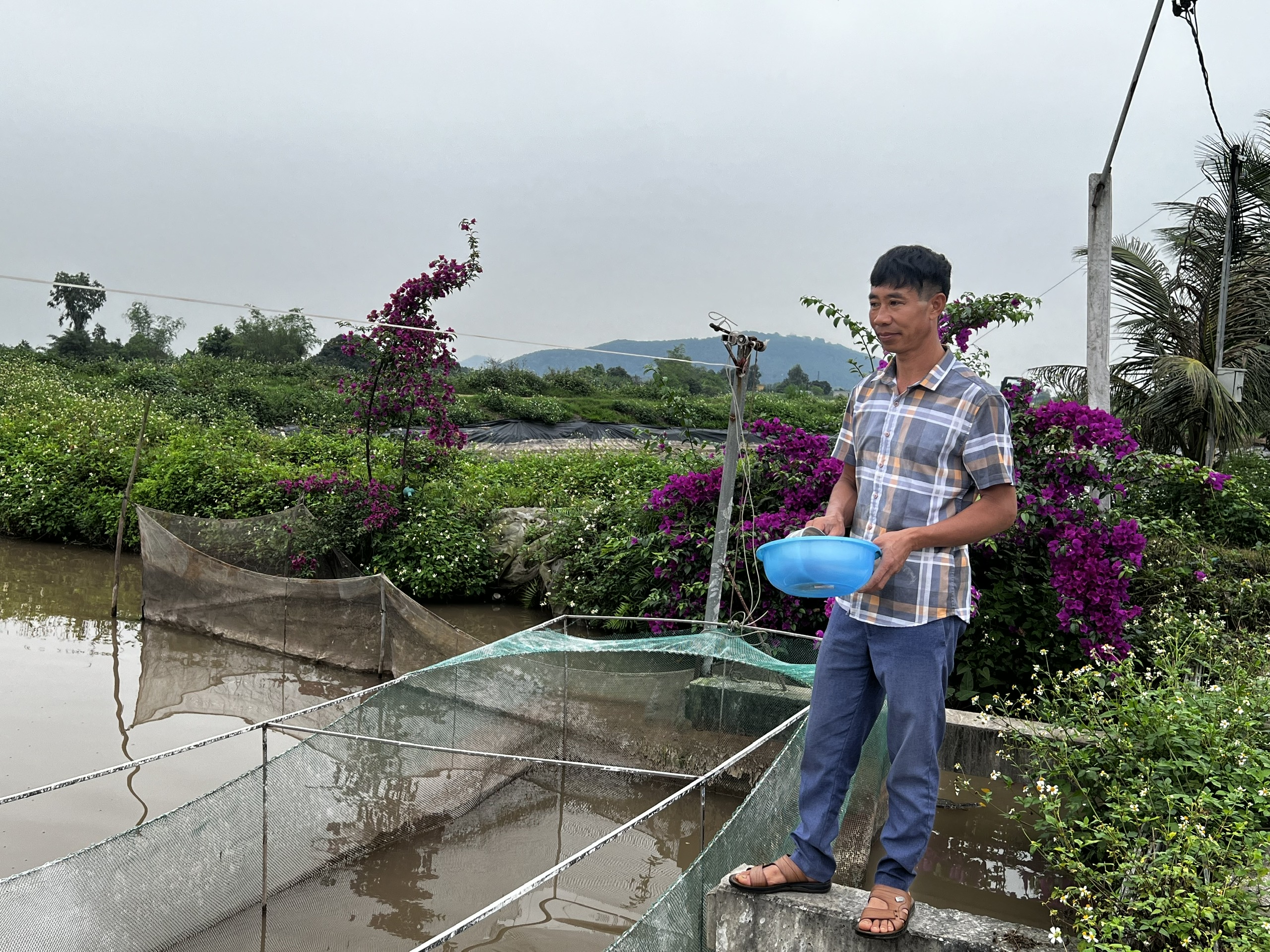 Nuôi thứ cá “sang chảnh” trong đầm, bán 5-10 triệu/con, một nông dân Hải Phòng giàu lên trông thấy- Ảnh 2.