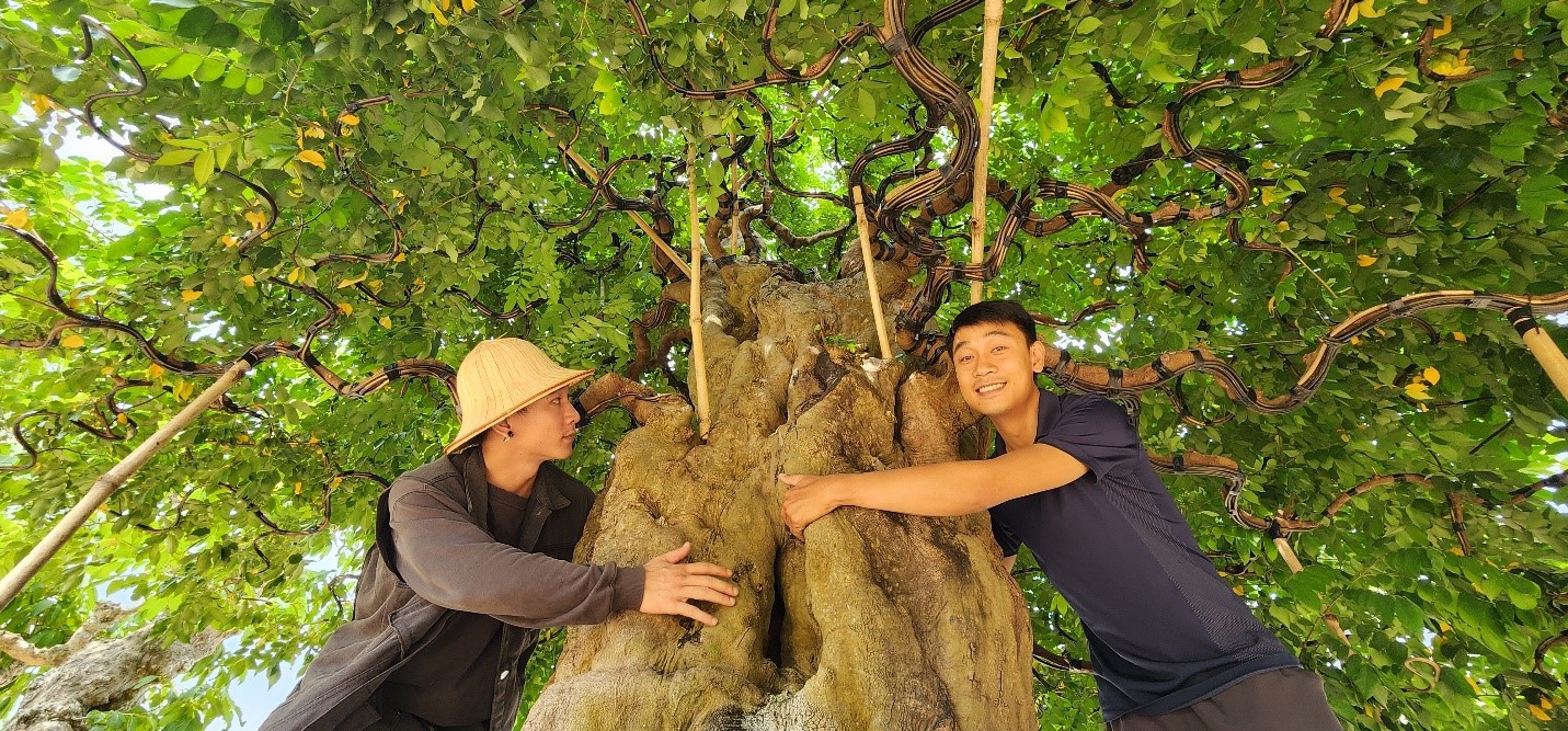 9X Đắk Lắk theo "nghề cầm kéo" có khu vườn "đa quốc tịch" la liệt cây khế cổ thụ hơn 200 tuổi- Ảnh 1.