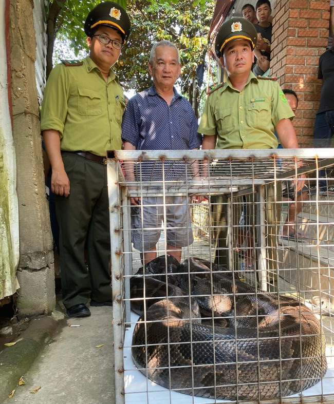 "Đi" lạc vào nhà thờ, một con động vật hoang dã 18kg được dân bắt giao cho lực lượng chức năng TT-Huế- Ảnh 3.