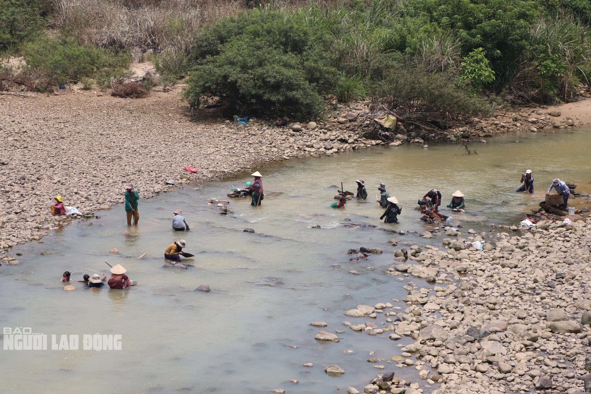 Ở một dòng sông ở Quảng Nam, dân lội mò mẫm đãi cát, tìm được vàng cám, bỏ vô chén sứ mang về nhà- Ảnh 1.