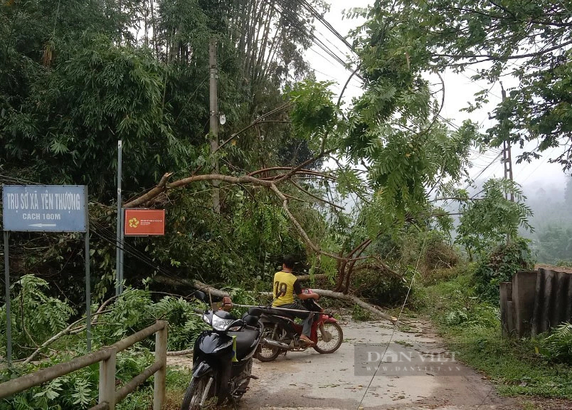 Mưa dông tại Bắc Kạn khiến hơn 300 ngôi nhà bị tốc mái, chợ tình Xuân Dương hư hỏng nặng- Ảnh 1.