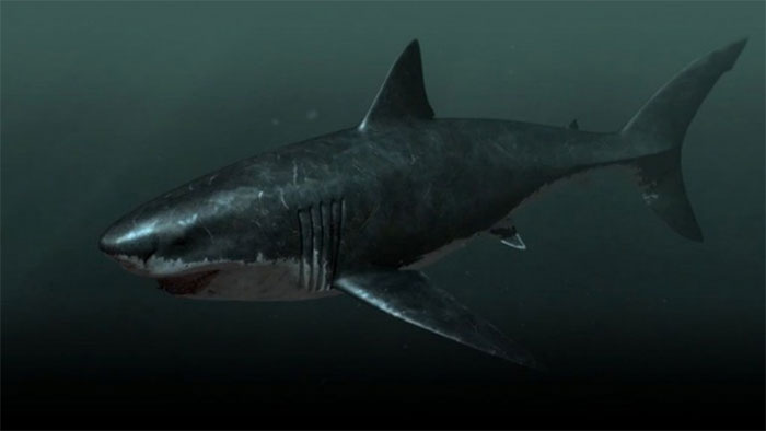 10 quái vật ăn thịt kinh hoàng nhất lịch sử Trái Đất: Số 1 là nỗi kinh hoàng đại dương- Ảnh 3.