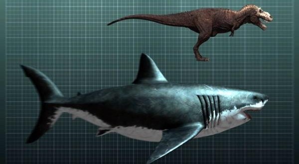 10 quái vật ăn thịt kinh hoàng nhất lịch sử Trái Đất: Số 1 là nỗi kinh hoàng đại dương- Ảnh 1.