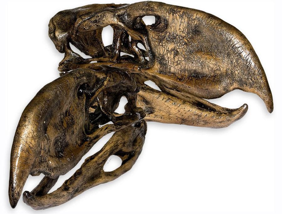 10 quái vật ăn thịt kinh hoàng nhất lịch sử Trái Đất: Số 1 là nỗi kinh hoàng đại dương- Ảnh 15.