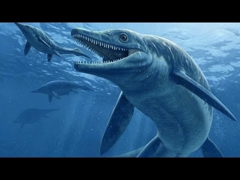 10 quái vật ăn thịt kinh hoàng nhất lịch sử Trái Đất: Số 1 là nỗi kinh hoàng đại dương- Ảnh 16.