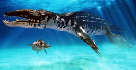 10 quái vật ăn thịt kinh hoàng nhất lịch sử Trái Đất: Số 1 là nỗi kinh hoàng đại dương- Ảnh 21.