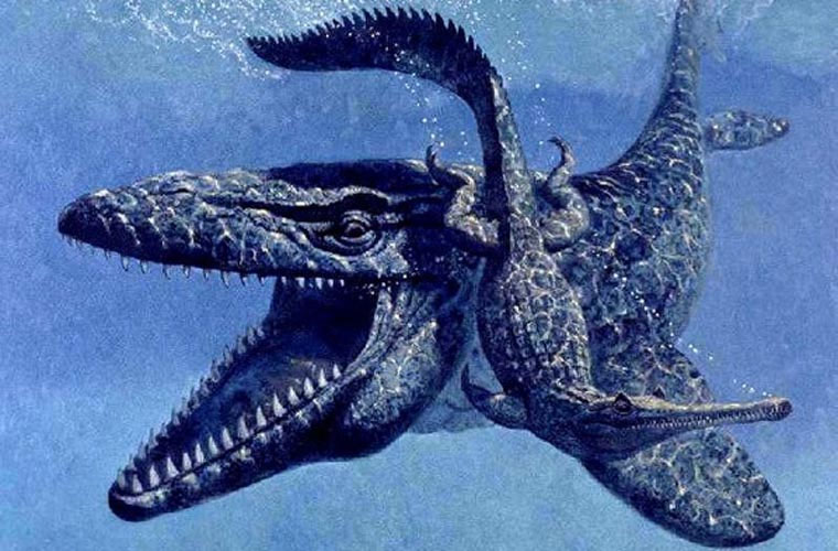 10 quái vật ăn thịt kinh hoàng nhất lịch sử Trái Đất: Số 1 là nỗi kinh hoàng đại dương- Ảnh 10.